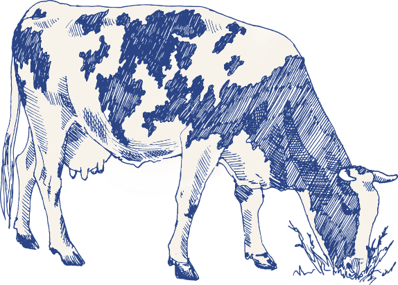 belle vache logo