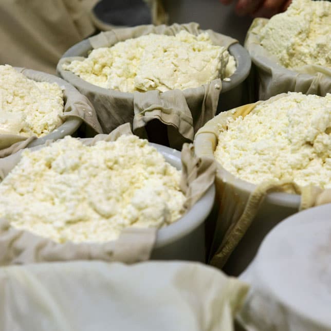 fromage-preparation-ossau-iraty